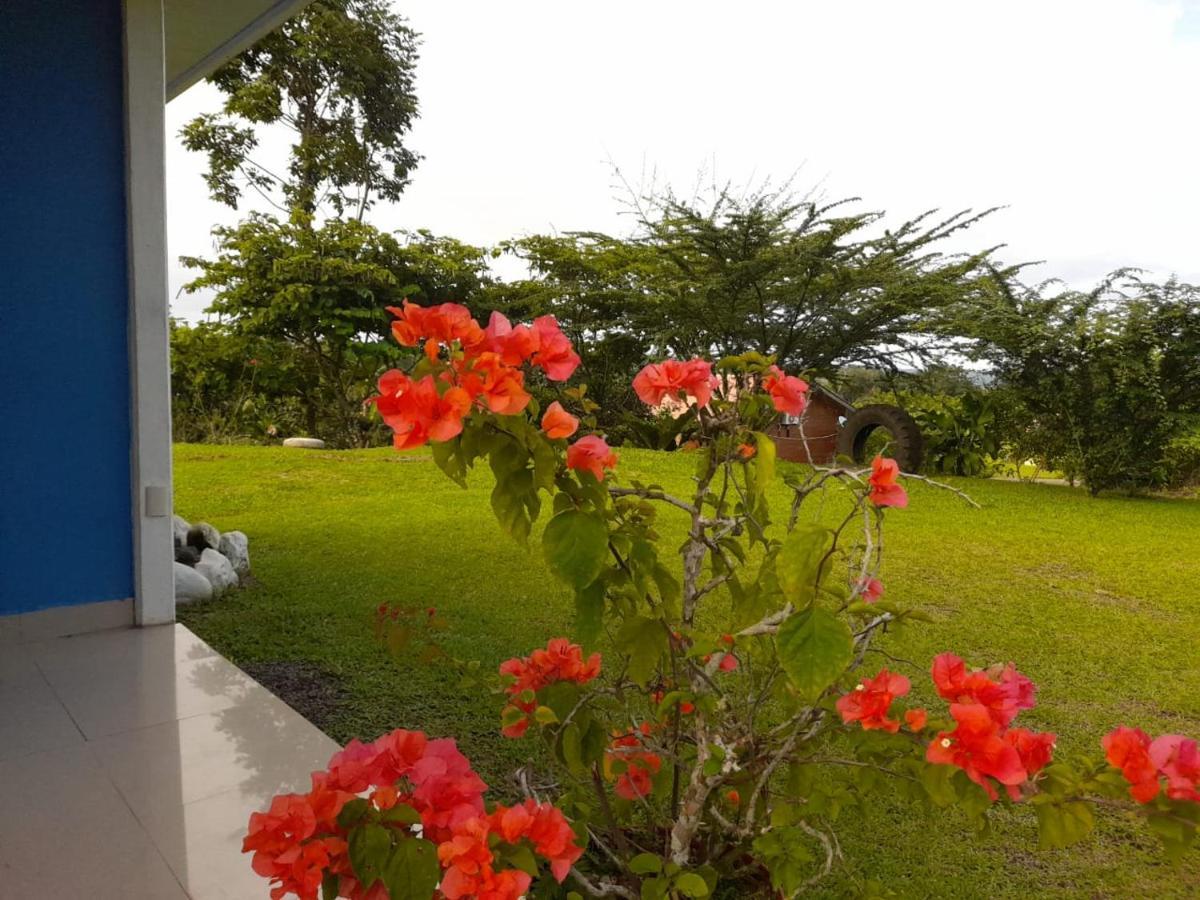 Casa De Campo Heliconia La Fortuna Εξωτερικό φωτογραφία